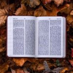 book-leaf-open-book-autumn book-leaf-open-book-autumn
